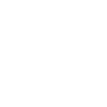 VIP专属定制开发